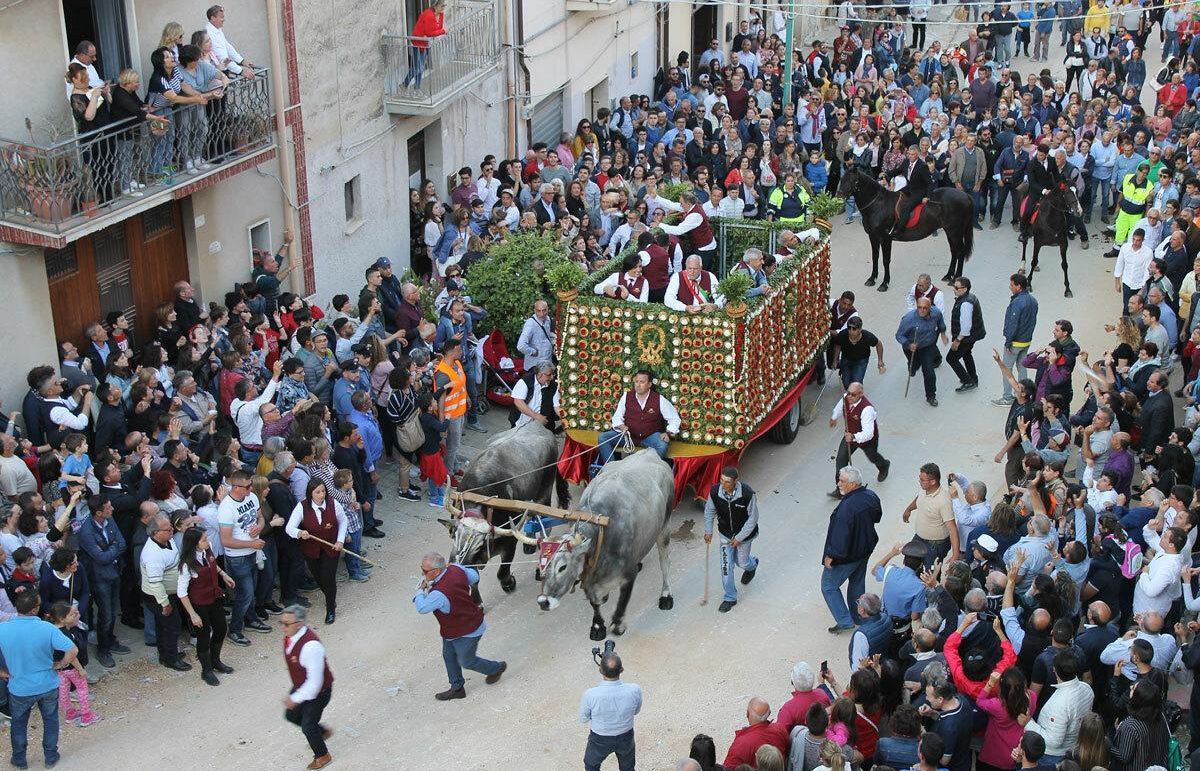 Immagine dell'evento' Partecipa ai riti per i festeggiamenti della Madonna di Tagliavia