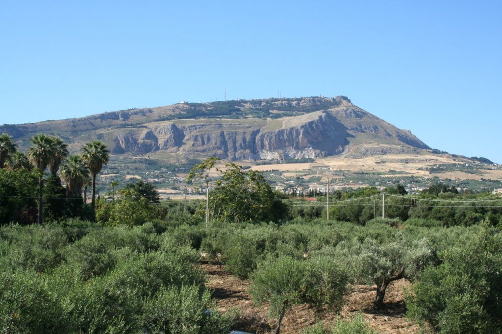 Immagine dell'evento' L’oro verde delle Valli Trapanesi: una settimana con l’olio extravergine d’oliva